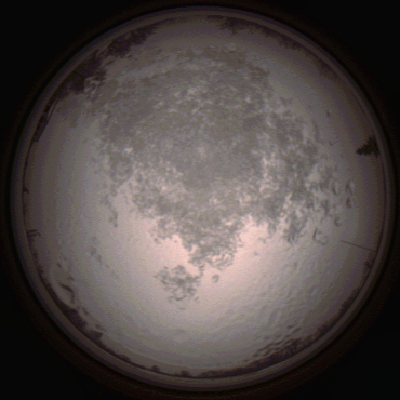 capture_202112111518_4625.Png
