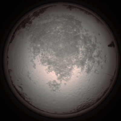 capture_202112111315_4502.Png