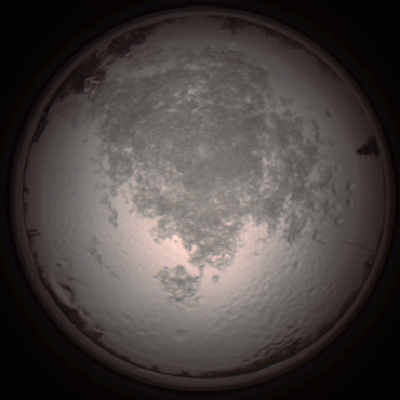 capture_202112111424_4571.Png