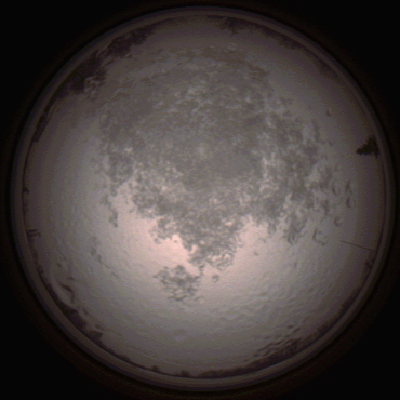 capture_202112111516_4623.Png