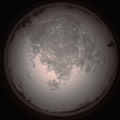 capture_202112111503_4610.Png