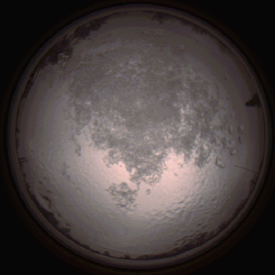 capture_202112111524_4631.Png