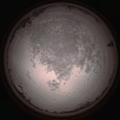 capture_202112111522_4629.Png