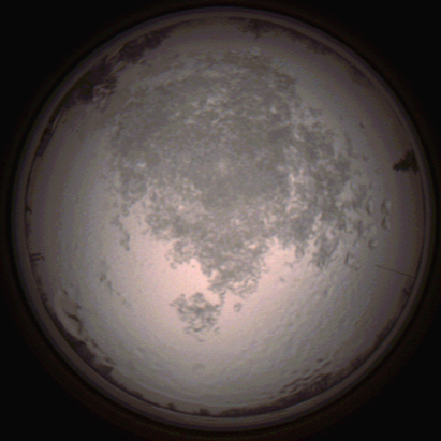 capture_202112111517_4624.Png