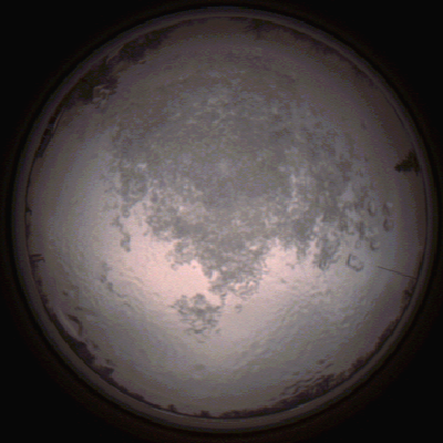 capture_202112111529_4636.Png