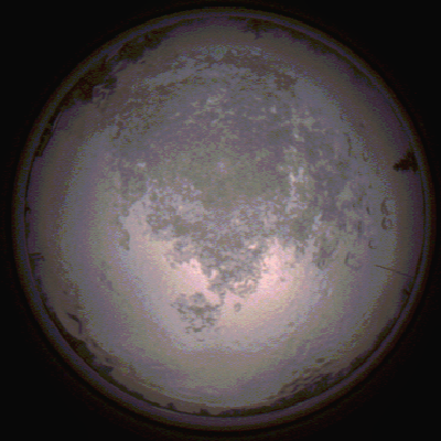 capture_202112111539_4646.Png
