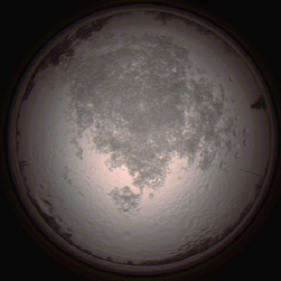 capture_202112111457_4604.Png
