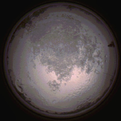 capture_202112111536_4643.Png