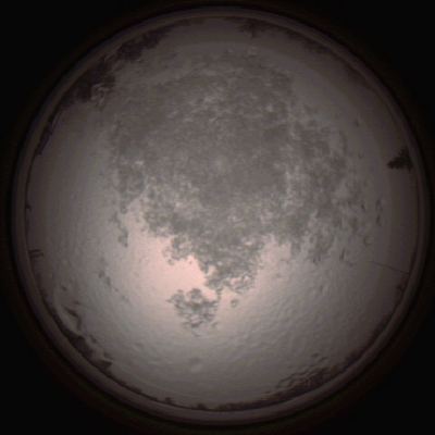 capture_202112111507_4614.Png