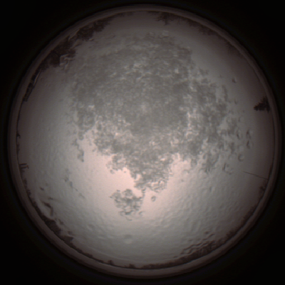 capture_202112111432_4579.Png