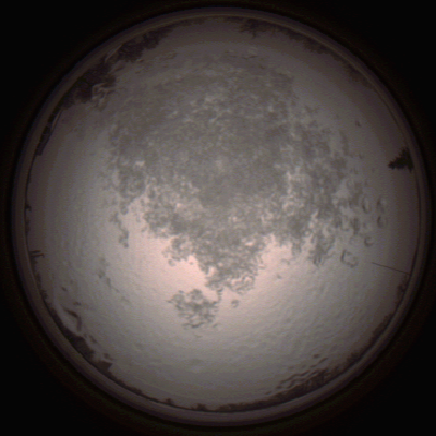 capture_202112111502_4609.Png