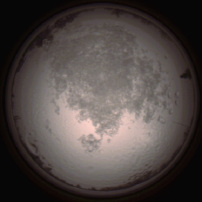 capture_202112111506_4613.Png