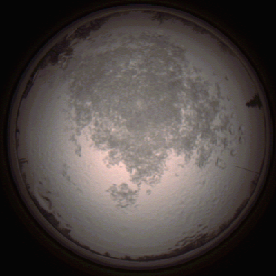 capture_202112111500_4607.Png