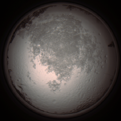 capture_202112111306_4493.Png