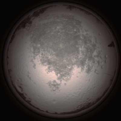 capture_202112111441_4588.Png
