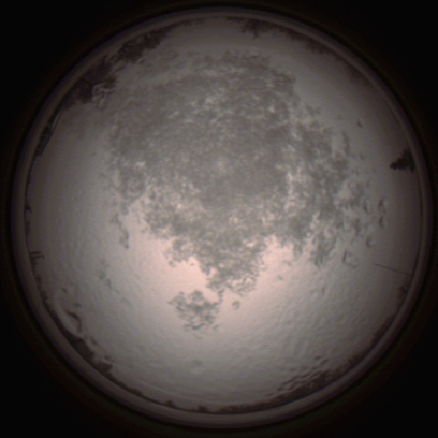 capture_202112111451_4598.Png