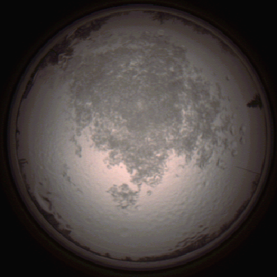 capture_202112111456_4603.Png