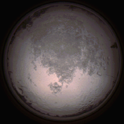 capture_202112111530_4637.Png