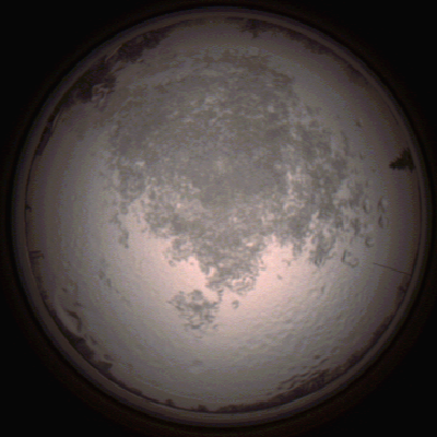 capture_202112111515_4622.Png