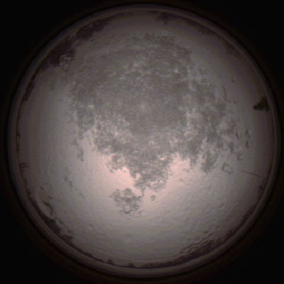 capture_202112111519_4626.Png
