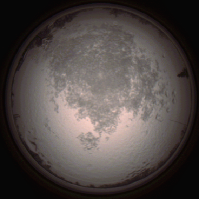 capture_202112111501_4608.Png