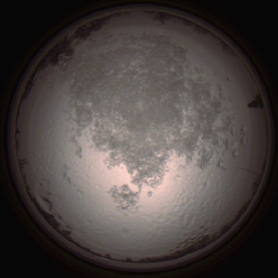 capture_202112111459_4606.Png