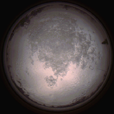 capture_202112111528_4635.Png