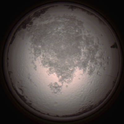 capture_202112111453_4600.Png