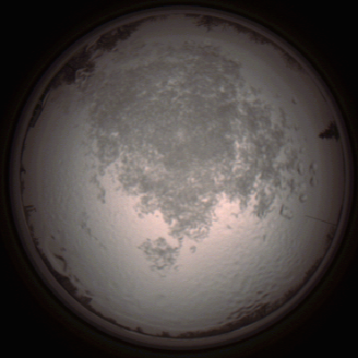 capture_202112111443_4590.Png