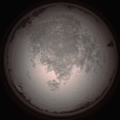 capture_202112111504_4611.Png