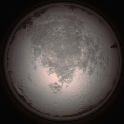 capture_202112111450_4597.Png