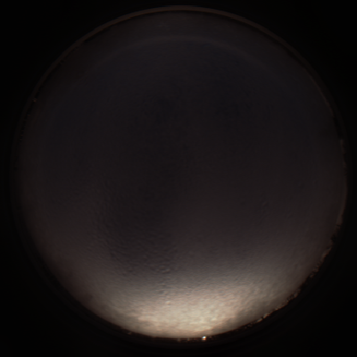 capture_202112150800_6390.Png