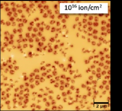 MFM_1e16_poly.jpg