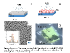Investigation of metamagnetic transition in nanosized FeRh structures