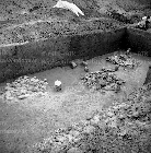 Research dataset of the Copper Age cemetery at the Pilismarót-Basaharc